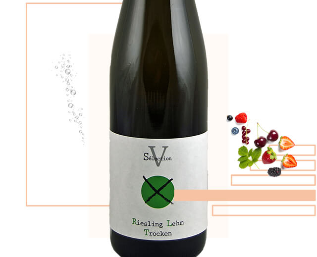Selection V Riesling Lehm Trocken